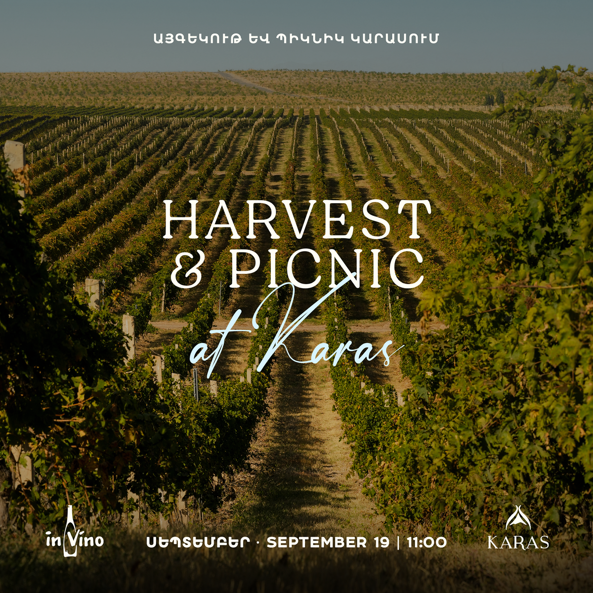 Harvest & Picnic at Karas | Այգեկութ և պիկնիկ Կարասում
